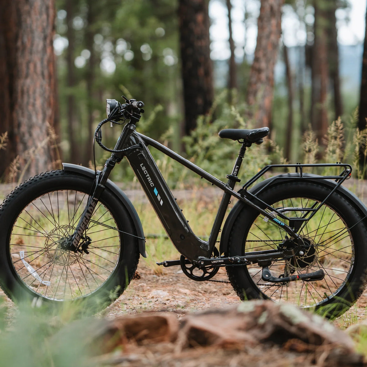 XPEAK2